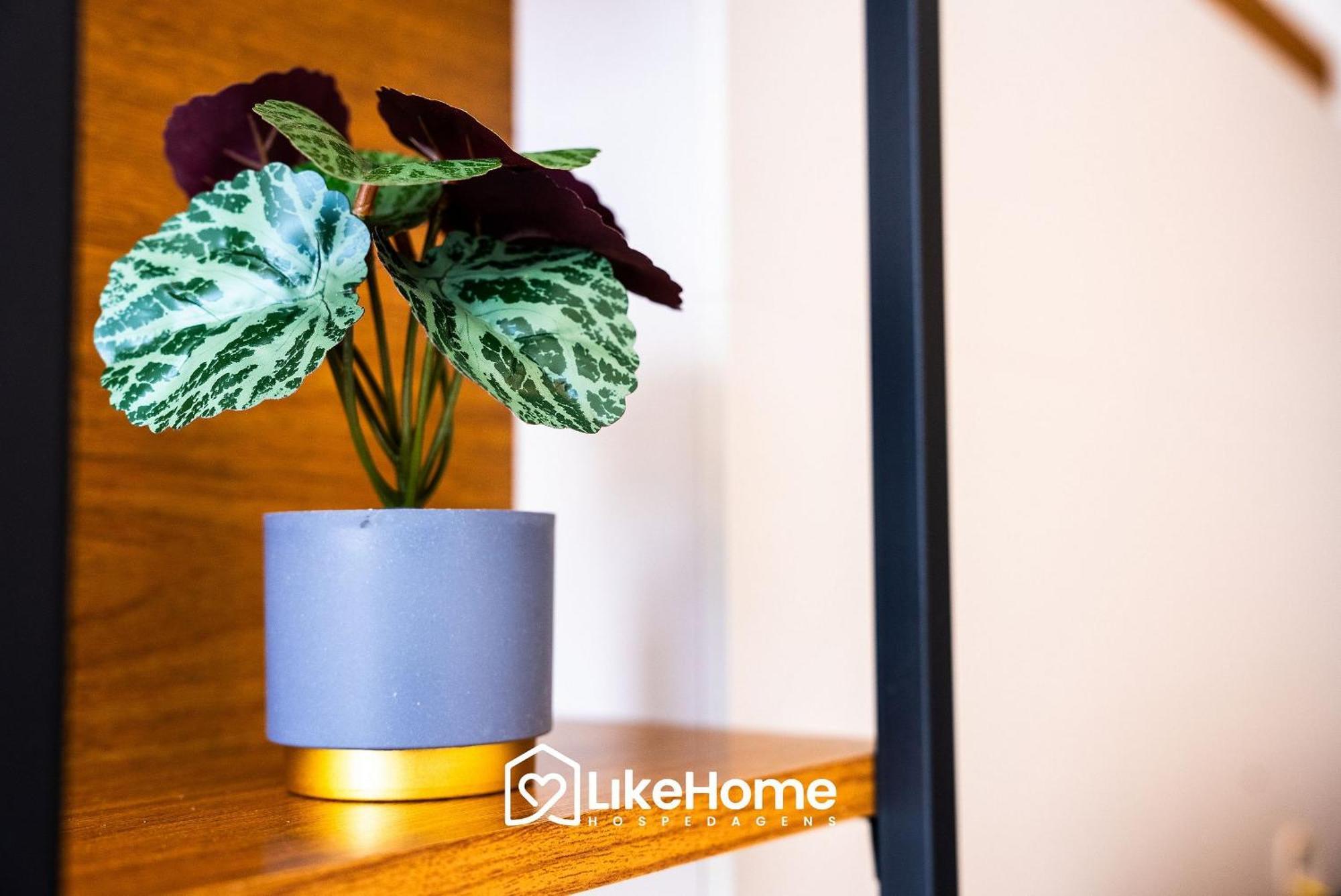 Simple Smart Em Manaira - Likehome Hospedagens Apartment